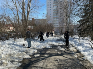 Санитарная пятница